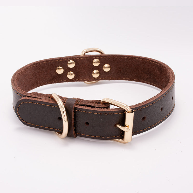LOYRIS Premium Studded Leather Collar™