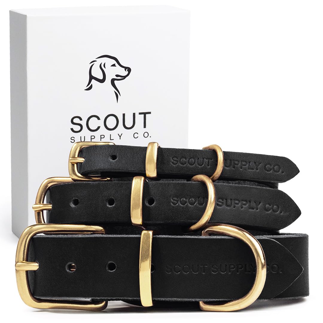 LOYRIS PET COUTURE Classic Genuine Leather e Dog Collar