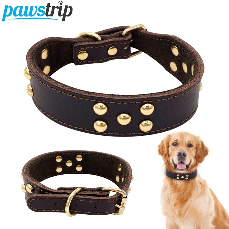 LOYRIS Premium Studded Leather Collar™