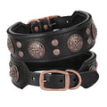 LOYRIS ROGUE-Studded Power Collar( Black Edition)