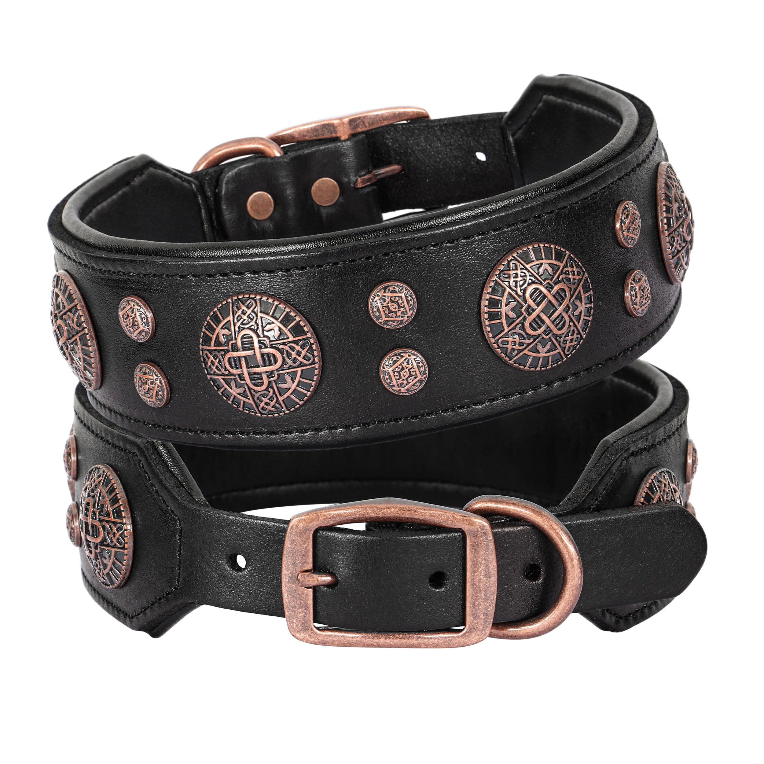 LOYRIS ROGUE-Studded Power Collar( Black Edition)