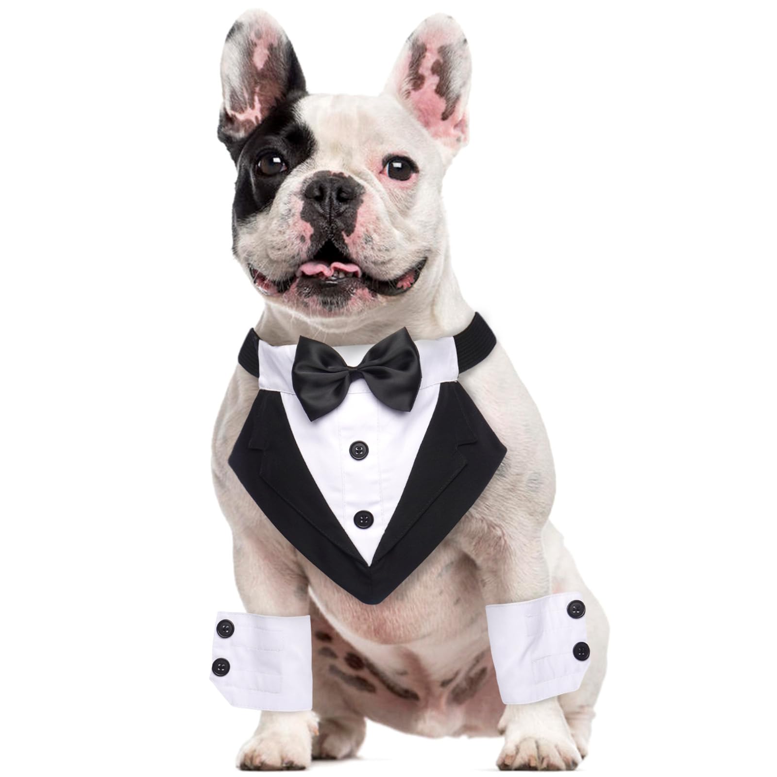 LOYRIS Noir Gentleman Tux