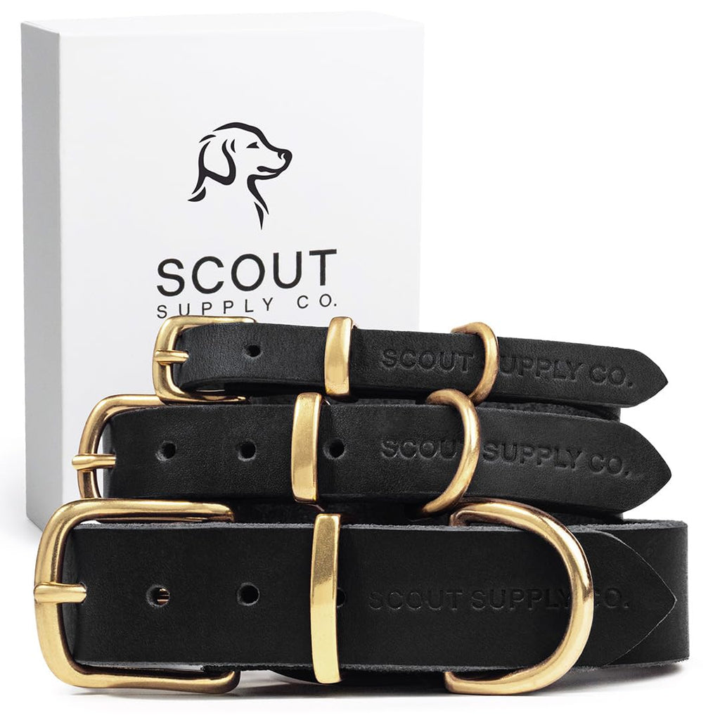 LOYRIS PET COUTURE Classic Genuine Leather e Dog Collar